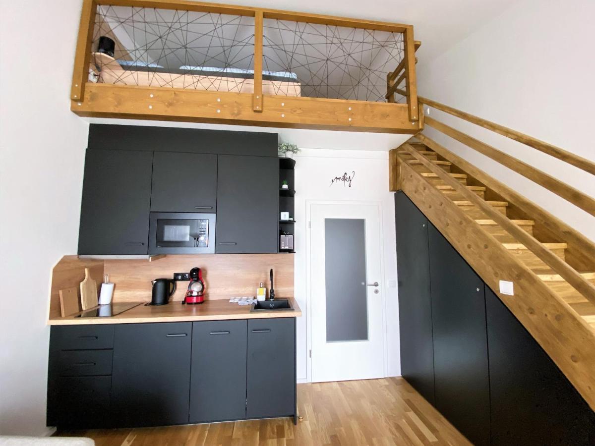 Miky Apartman Klinovec View Loucna pod Klinovcem Exterior photo