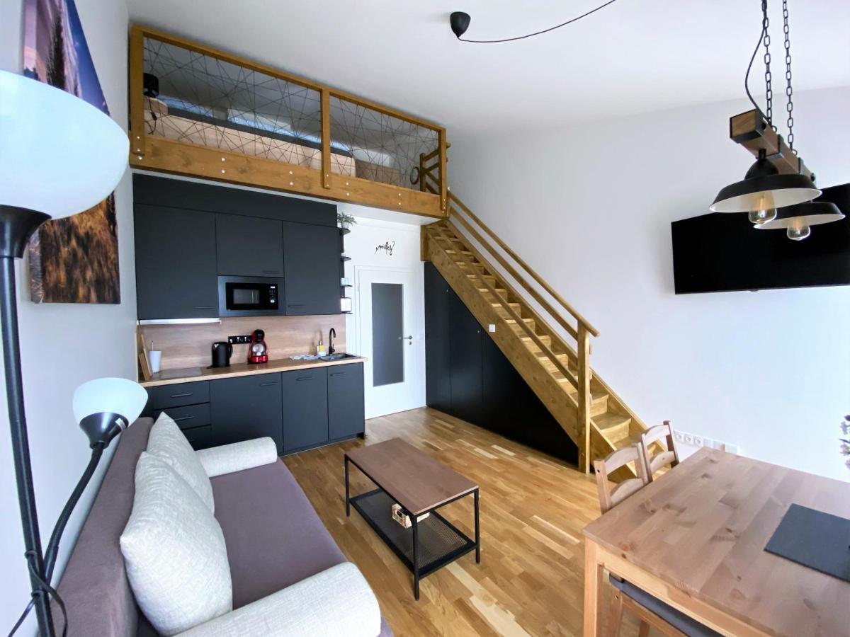 Miky Apartman Klinovec View Loucna pod Klinovcem Exterior photo